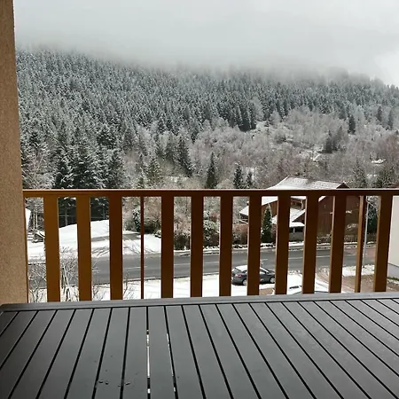 Grand Du Bruleux 11 Personnes Hébergement de vacances La Bresse