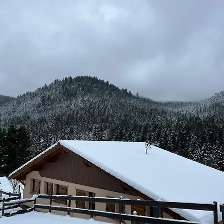 Grand Du Bruleux 11 Personnes La Bresse