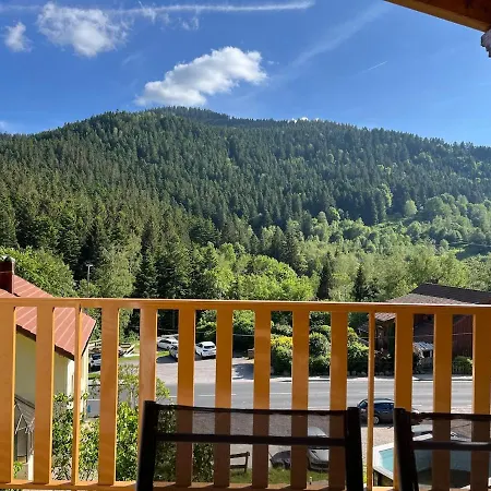 Grand Du Bruleux 11 Personnes * La Bresse