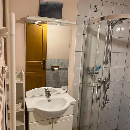 Grand Du Bruleux 11 Personnes La Bresse