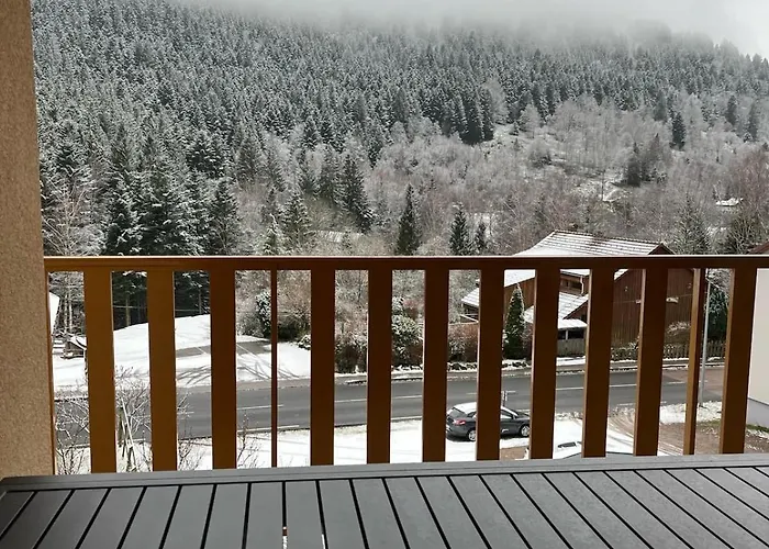 Grand Du Bruleux 11 Personnes Сasa de vacaciones La Bresse