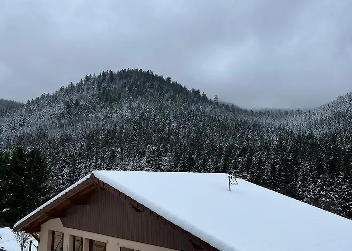 Grand Du Bruleux 11 Personnes La Bresse