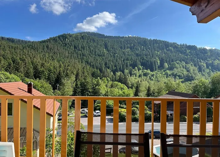 Grand Du Bruleux 11 Personnes * La Bresse