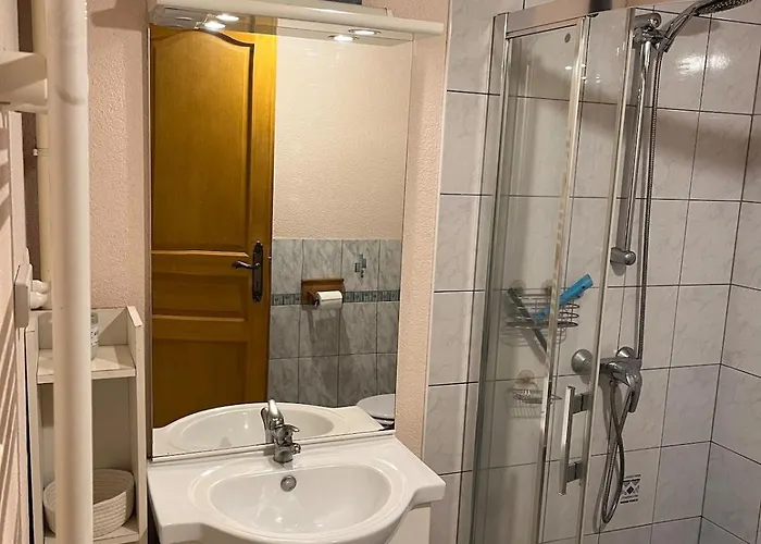 Grand Du Bruleux 11 Personnes La Bresse